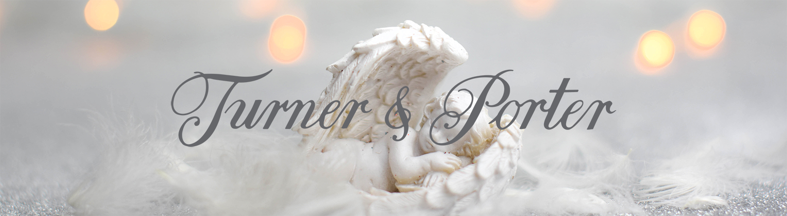Turner & Porter logo