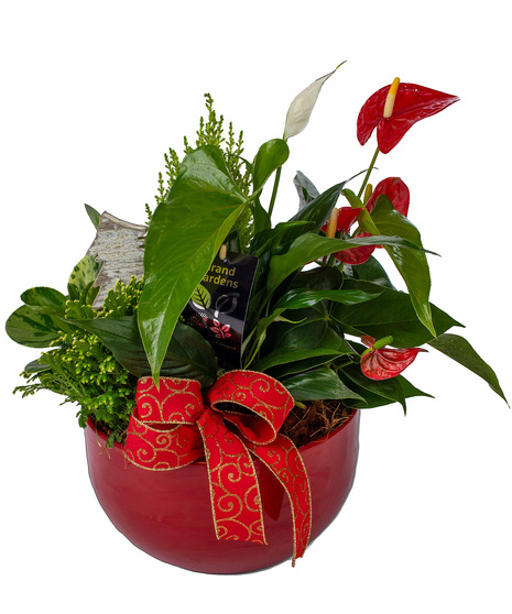 XL Christmas Planter
