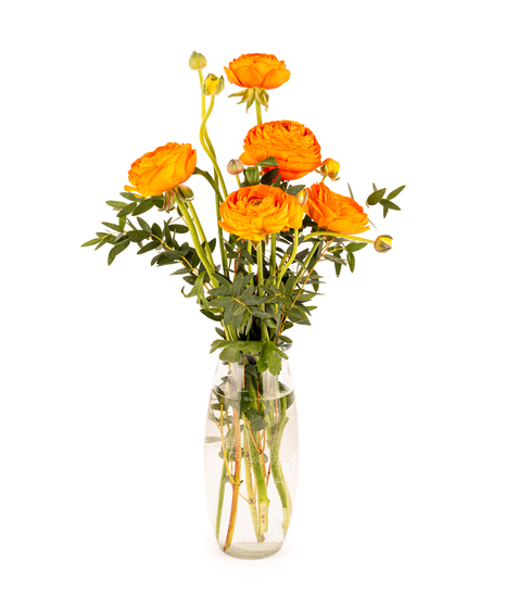 Blooming Ranunculus Arrangement