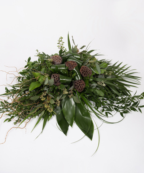 Botanical Splendour