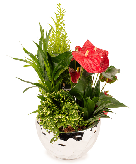 Holiday Evergreen Luxe Planter
