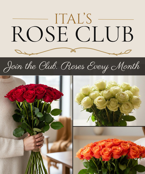 ITAL'S ROSE CLUB - Monthly Rose Subscription
