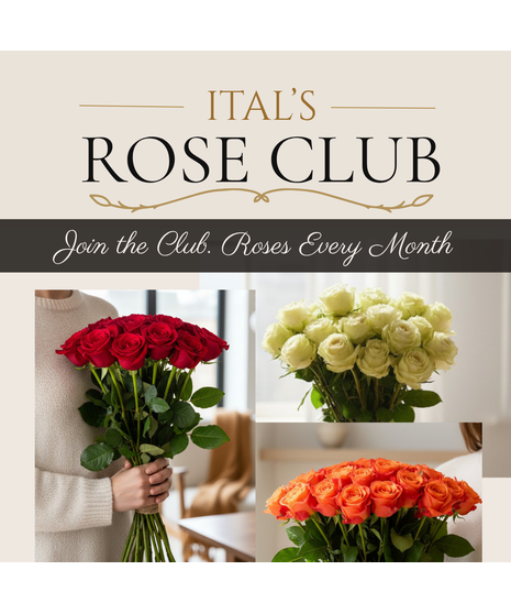 ITAL'S ROSE CLUB - Monthly Rose Subscription
