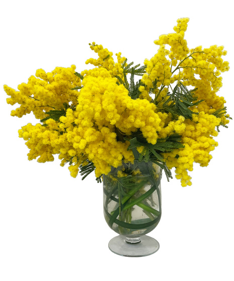Golden Mimosa Bouquet