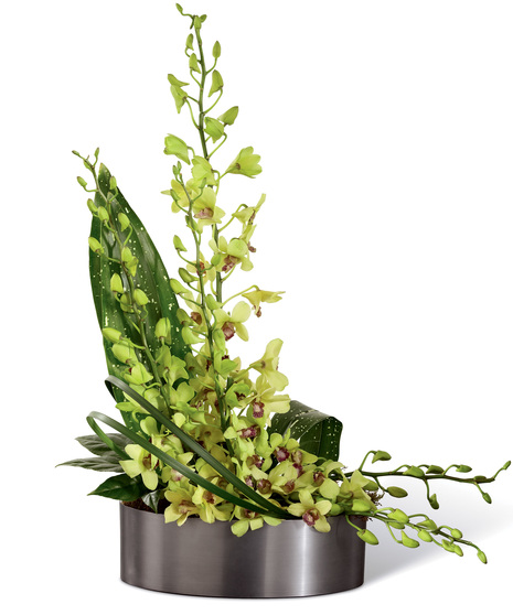Irresistible Orchid Arrangement