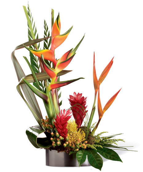 Island Breeze Arrangement