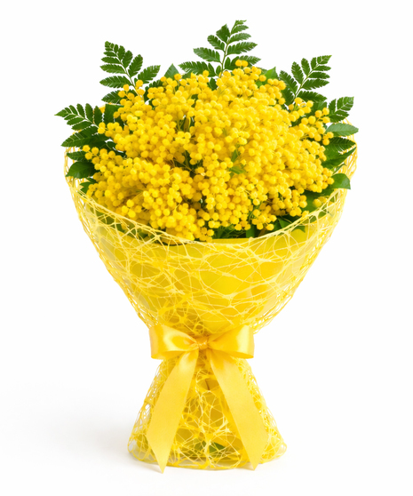 Sunshine Mimosa Bouquet