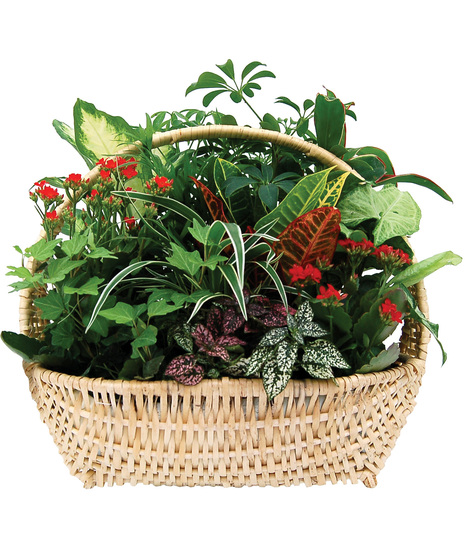 Bountiful Garden Planter Basket