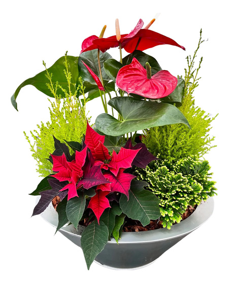 Christmas Giant Tropical Planter