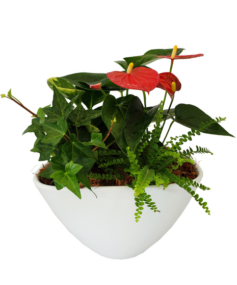 Living Garden Ceramic Planter