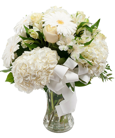 Purity Blooms