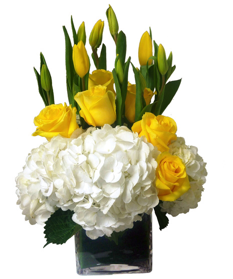 Bright and refreshing white and yellow Spring flowers