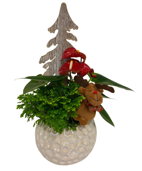Christmas Planter in a Shimmering Bowl
