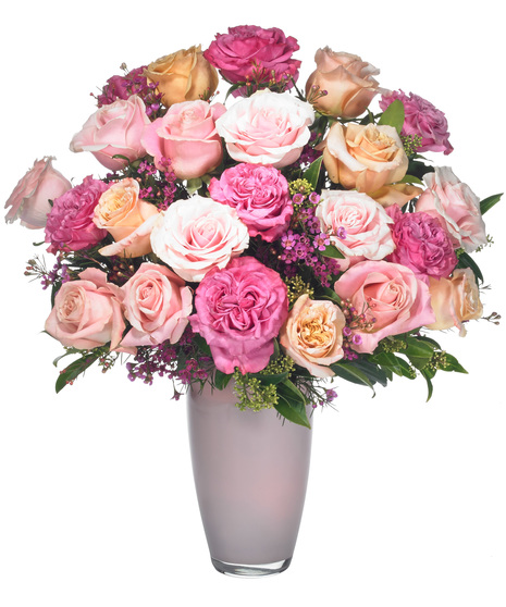 Luxurious Pink Roses