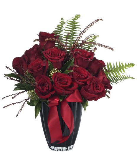 Gorgeous Roses