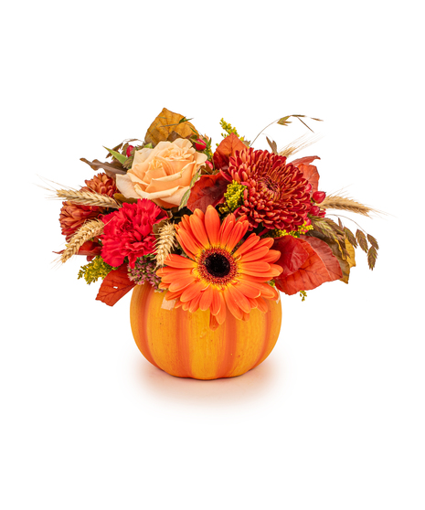 Autumn Harvest Pumpkin Bouquet