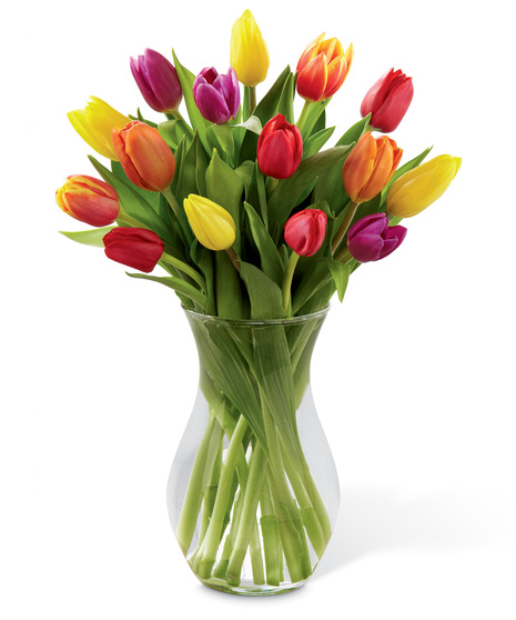 Glass Vase of Mixed Colour Tulips