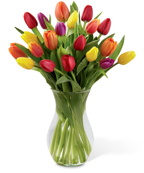 Rainbow Tulip Bouquet
