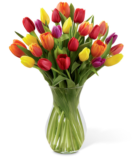 Glass Vase of Mixed Colour Tulips