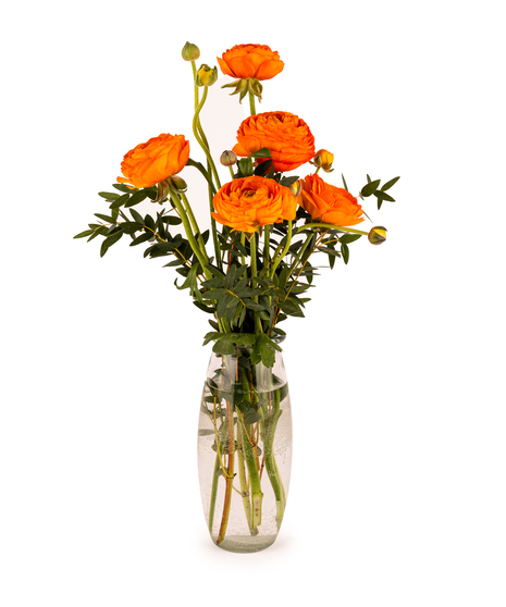 Blooming Ranunculus Arrangement