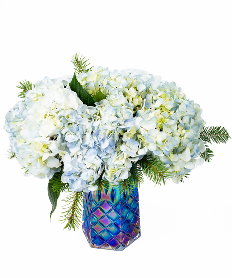 Blue Hydrangea in a Blue Vase