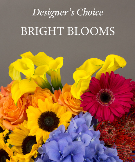 Designer's Choice Custom Brights