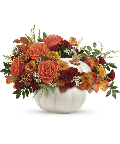Enchanted Harvest