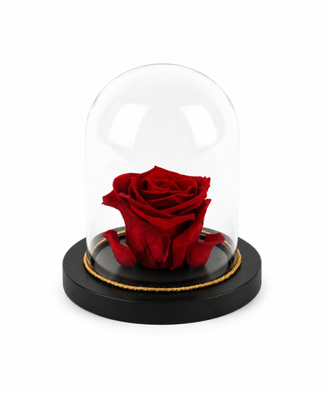 Everlasting Rose