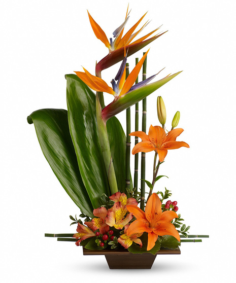 Tropical Flowers in Zen Inspired Design