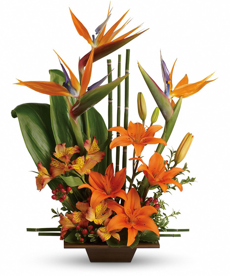 Tropical Flowers in Zen Inspired Design