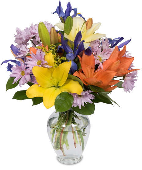 Vibrant Coloured Flowers in a Glass Vase