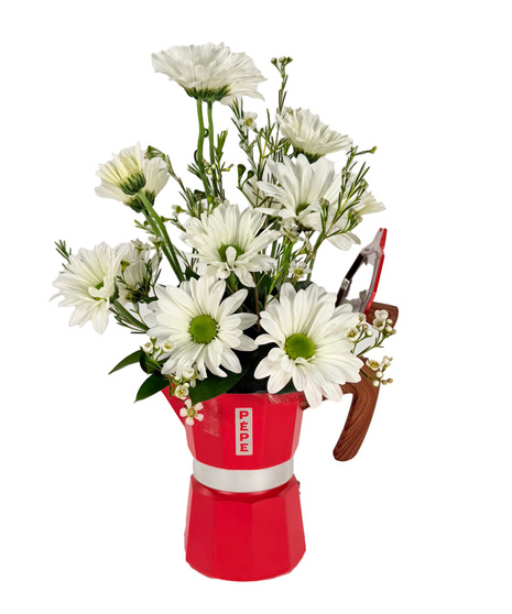 White daisies and waxflower arranged in a small red Pepe mocha coffee pot - a joyful floral gift for Mother's Day or any special occasion.