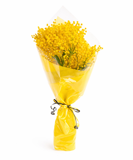 Golden Mimosa Bouquet