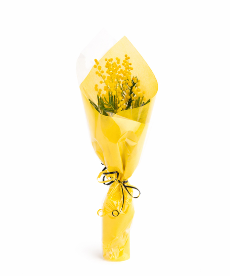 Golden yellow mimosa bouquet hand-wrapped in yellow paper for International Women's Day