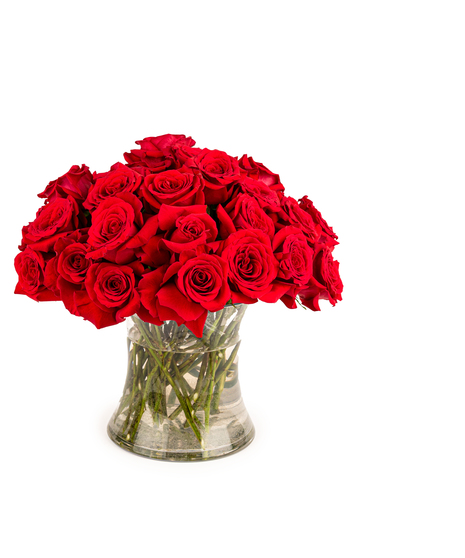 Luxury long stem red rose bouquet in a clear glass vase with optional white phalaenopsis orchid stem