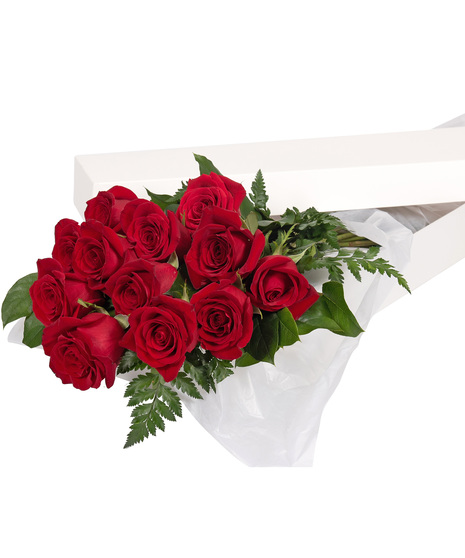 One Dozen Long Stem Red Roses in a Gift Box