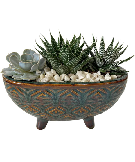 Teal Succulent Oval Pedestal