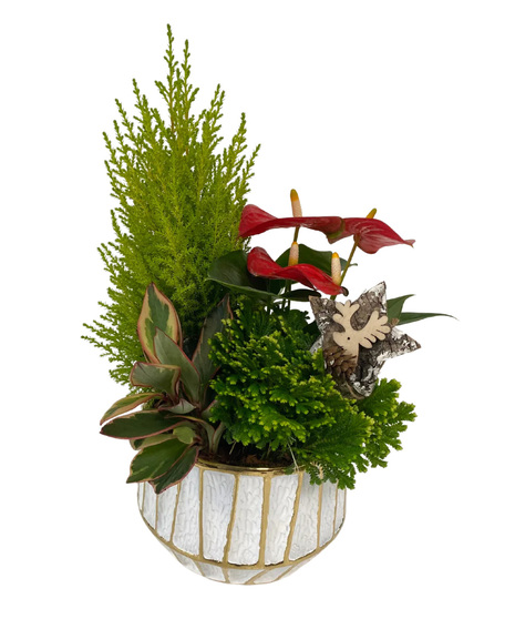 Tropical Christmas - White Gold Stripe