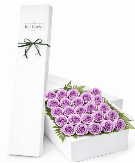 12, 18 or 24 Purple Roses in a Gift Box