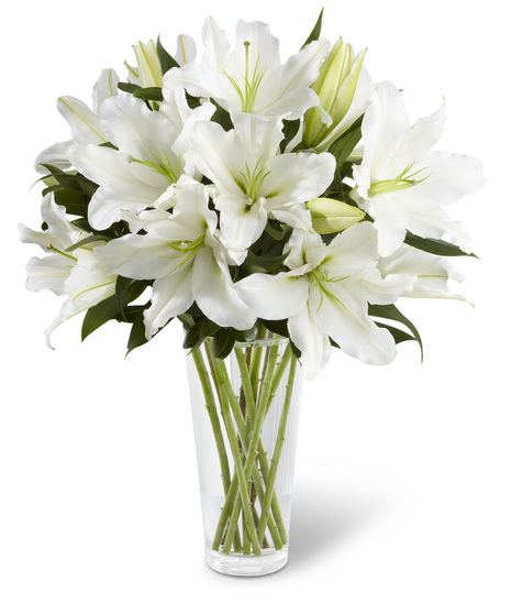 Glass Vase of White Lilies
