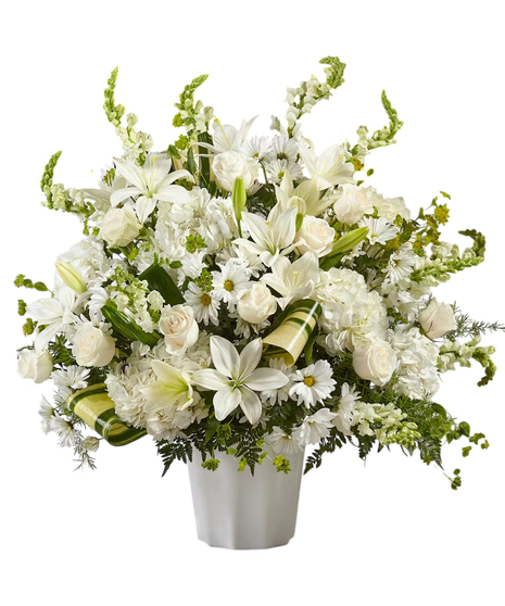 Thoughts of Tranquility