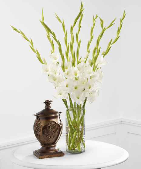 White gladiolus beside a funeral urn