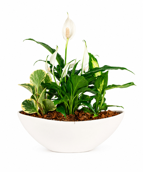 Serenity Garden Planter