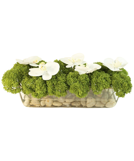 Artificial Orchids and Moss
