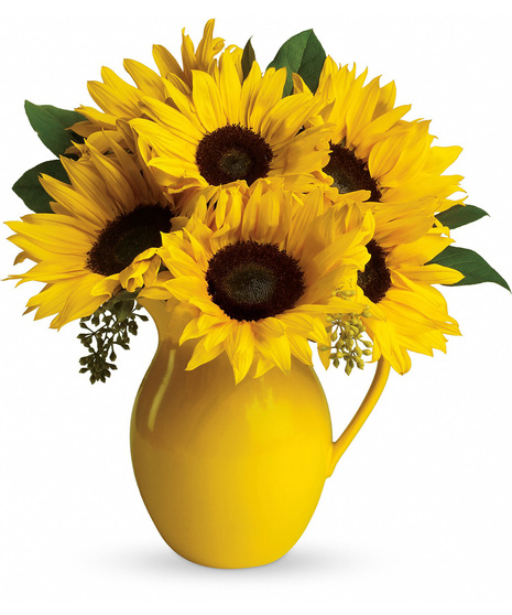 Sunflowers in a yellow ceramic pitcher
