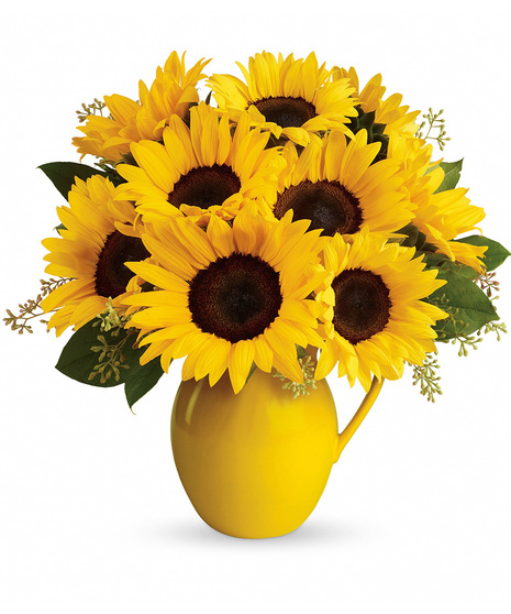 Sunny Day Pitcher of Sunflowers