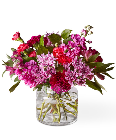Pink, Lavender, Violet and Magenta Flowers