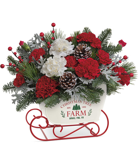 Christmas Flowers Arranged in a keepsake sleigh