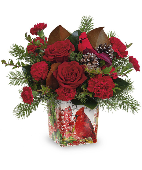 Christmas flowers arranged in a Cardinal Cheer Cube