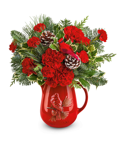 Scarlet Melody Christmas arrangement with red carnations, evergreens, holly, and noble fir in a cardinal pitcher
